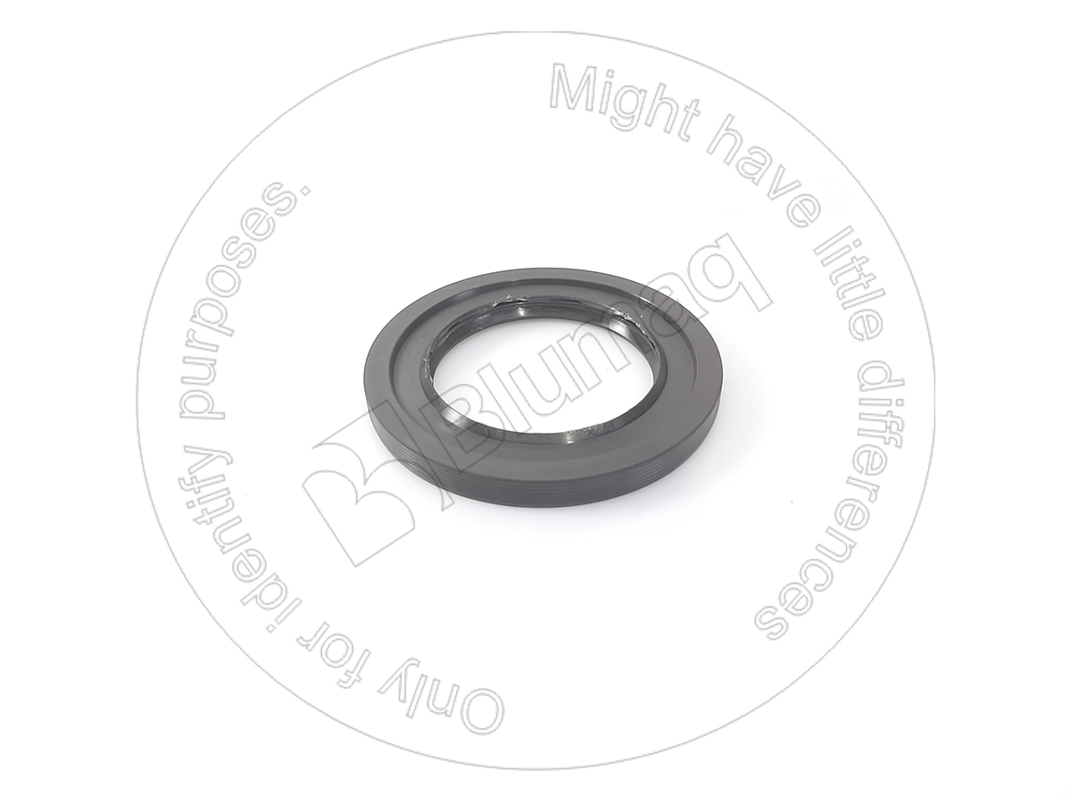 2640575 ST САЛЬНИК