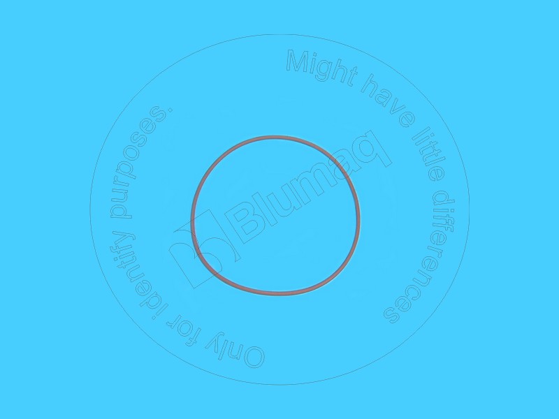 1124704 ST КОЛЬЦО КРУГЛОГО СЕЧЕНИЯ