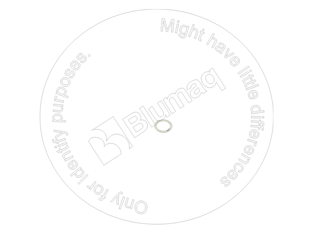 DK29311001 OR ШАЙБА