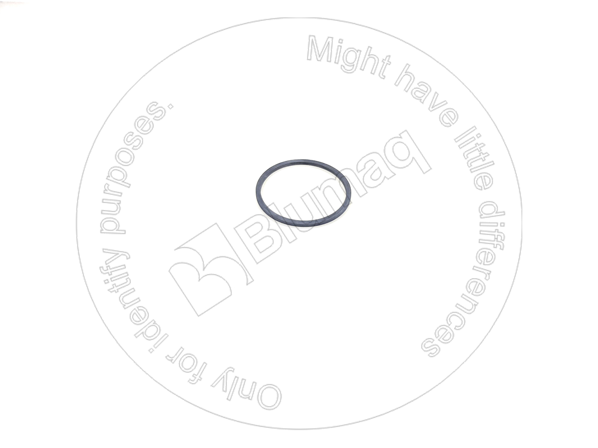 5J8009 ST САЛЬНИК