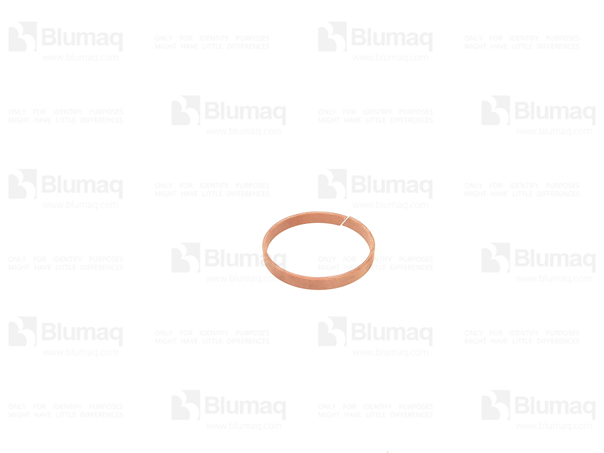 2508733 ST RING-WEAR