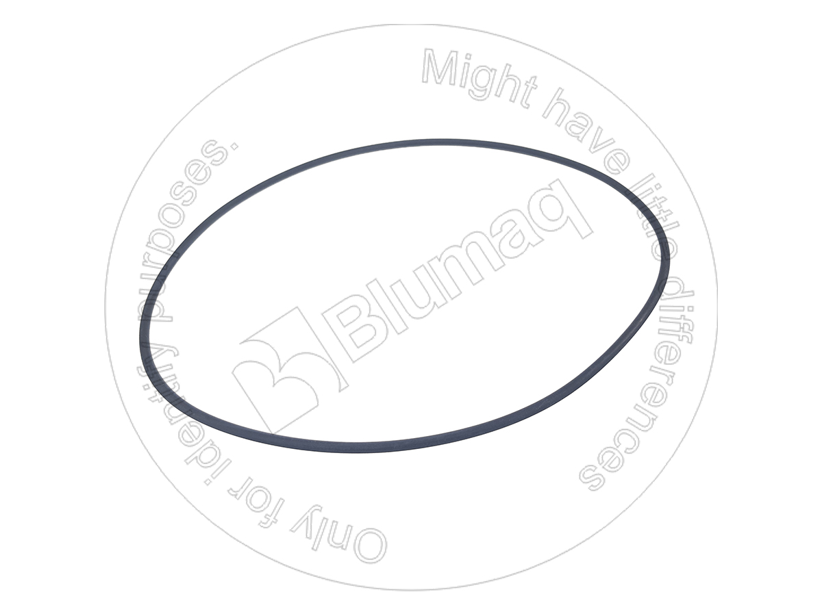 1170270 ST КОЛЬЦО КРУГЛОГО СЕЧЕНИЯ