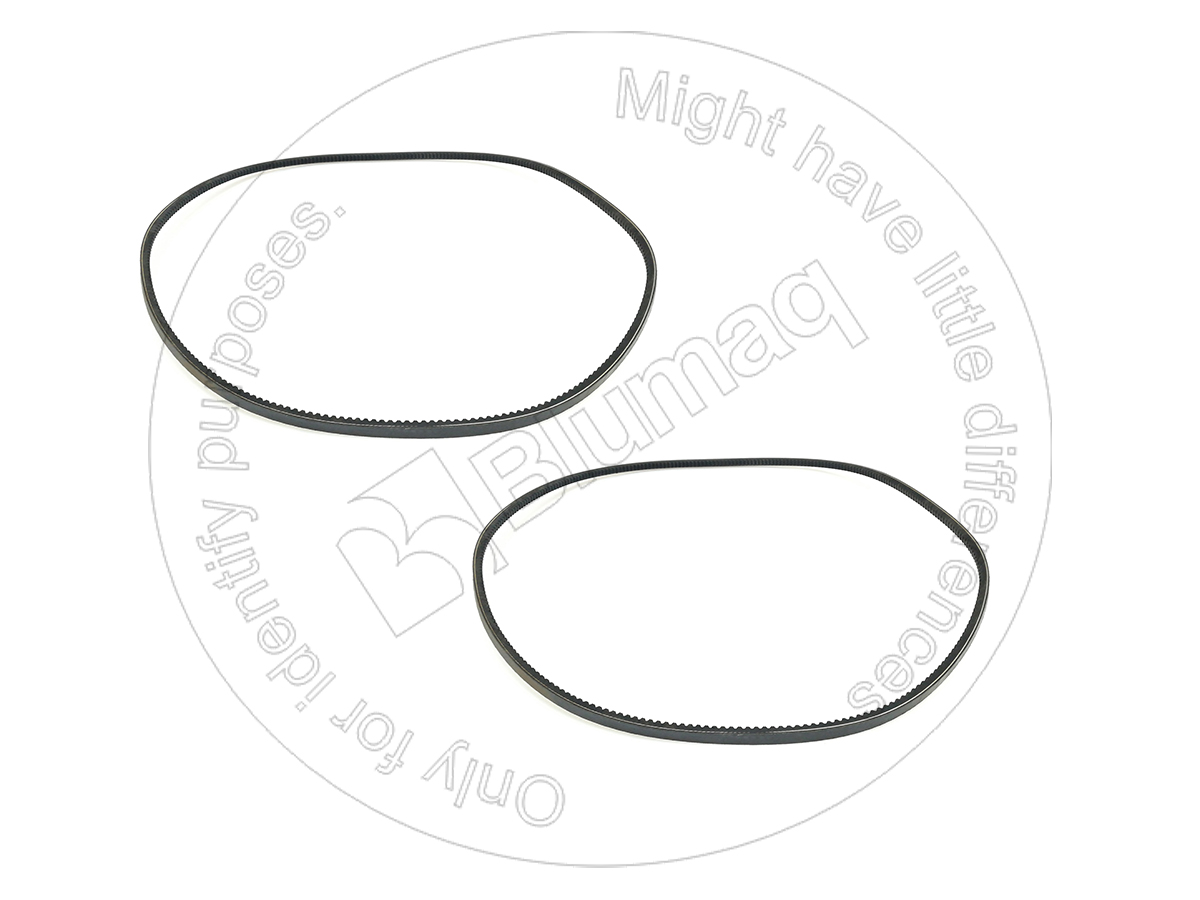 6N3843 BQ КОМПЛЕКТ РЕМНЕЙ (2)