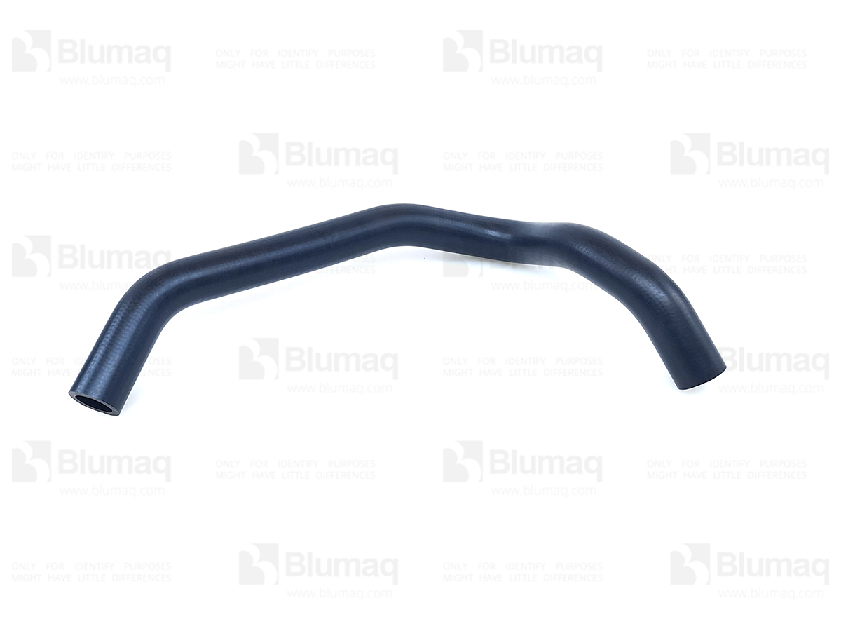 2938781 ST HOSE-FUMES