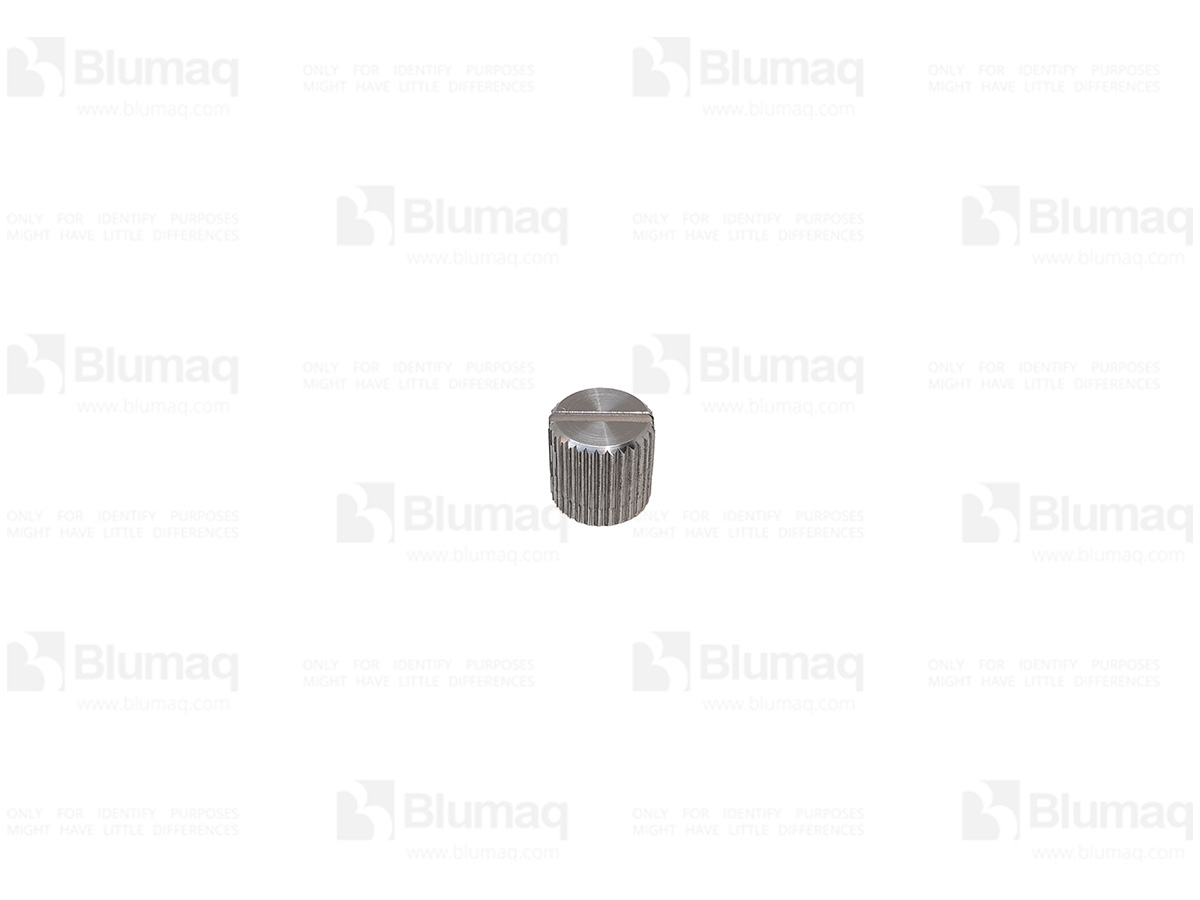VOE54584563 BQ NUT