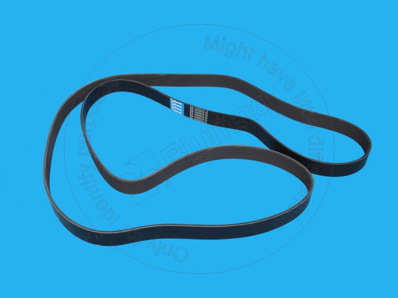 2023196 BQ РЕМЕНЬ