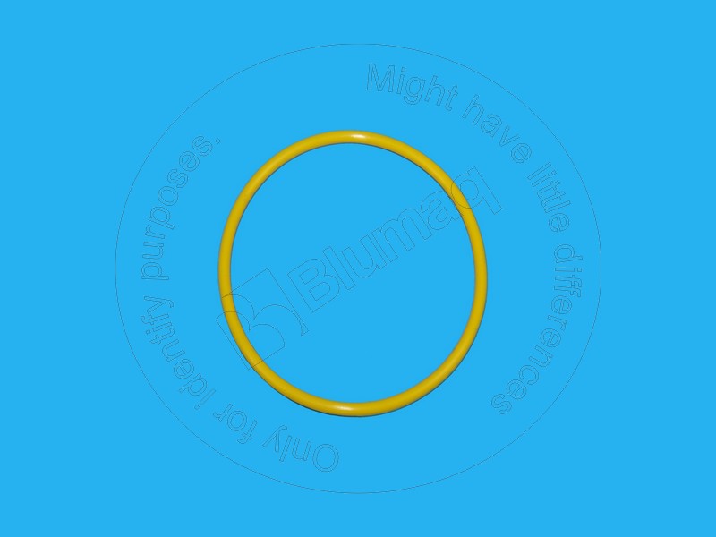 3S4489 ST КОЛЬЦО КРУГЛОГО СЕЧЕНИЯ