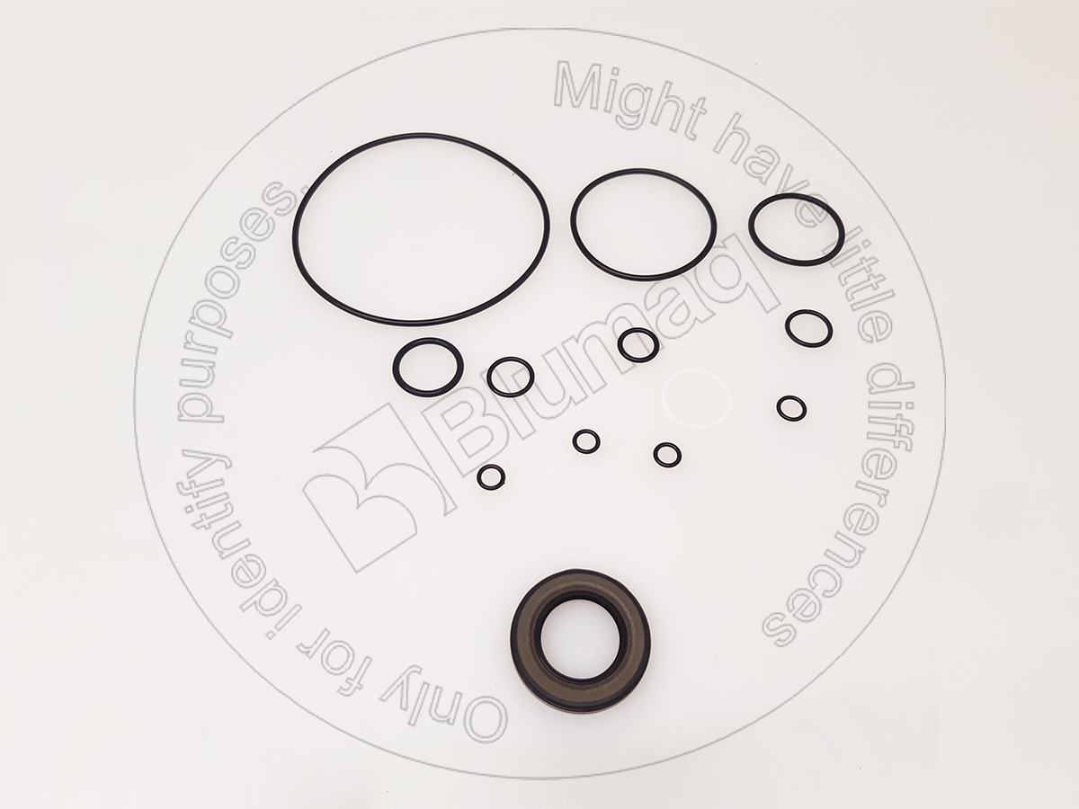 VOE17210437 BQ SEAL KIT