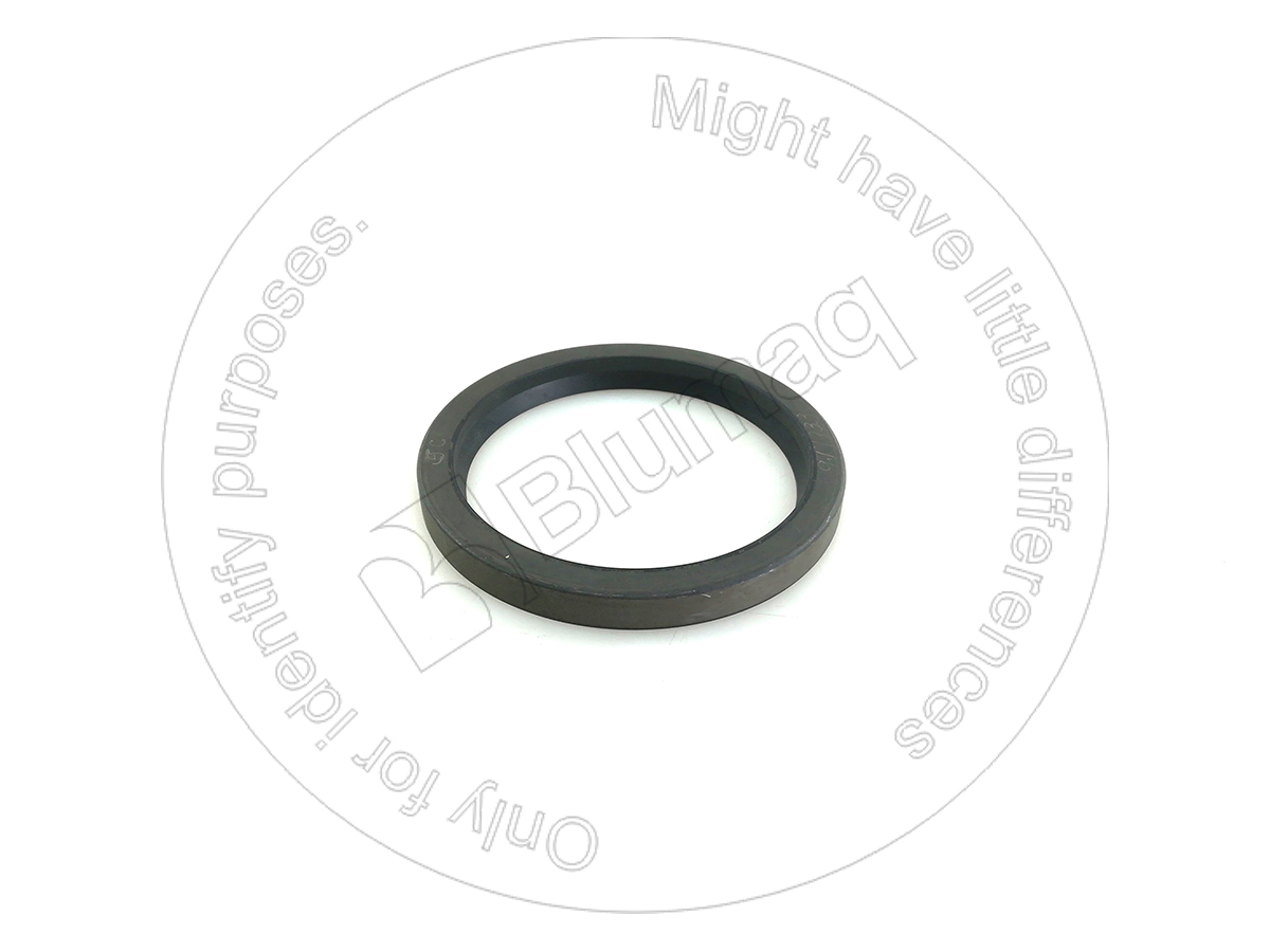 8C0926 OR САЛЬНИК