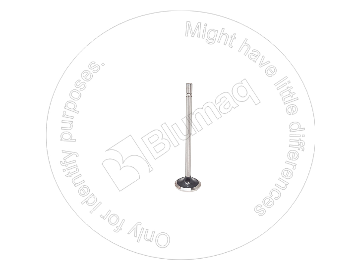 7E9578 BQ КЛАПАН ВПУСКНОЙ