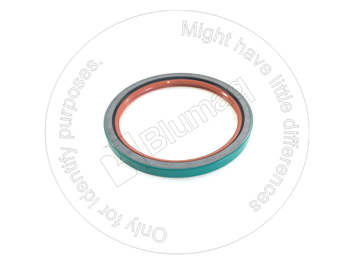 098809 OR САЛЬНИК