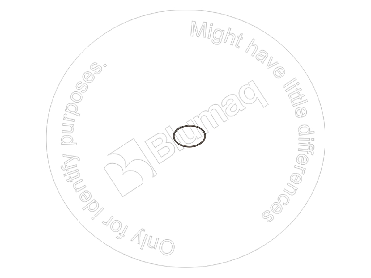 IT019048 ST КОЛЬЦО КРУГЛОГО СЕЧЕНИЯ