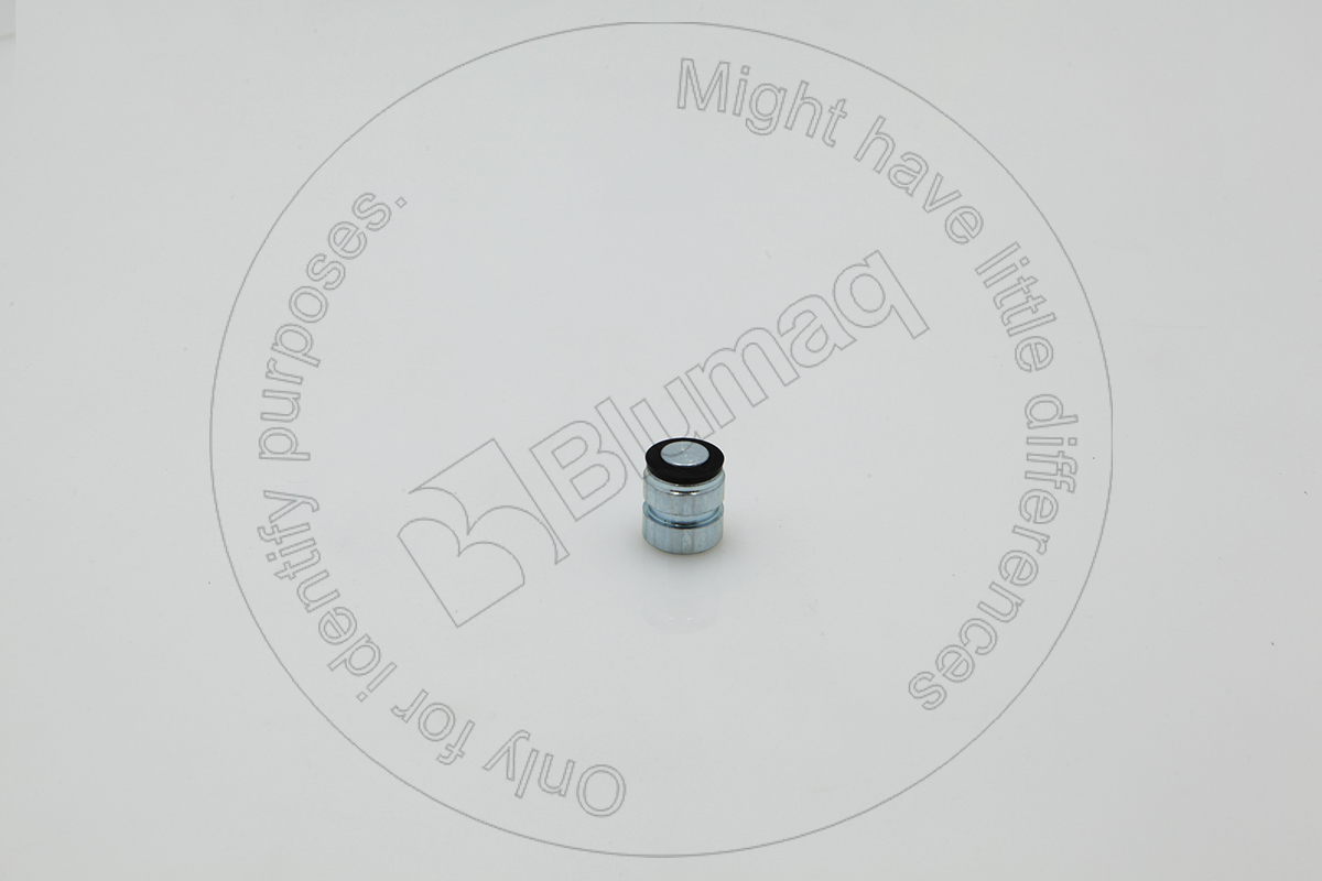 2W3294 ST ПЛУНЖЕР В СБОРЕ