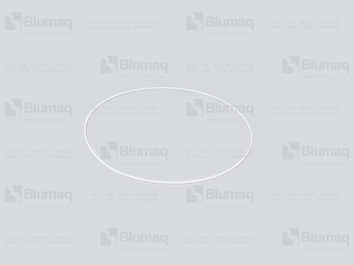 2799904 ST SEAL O-RING