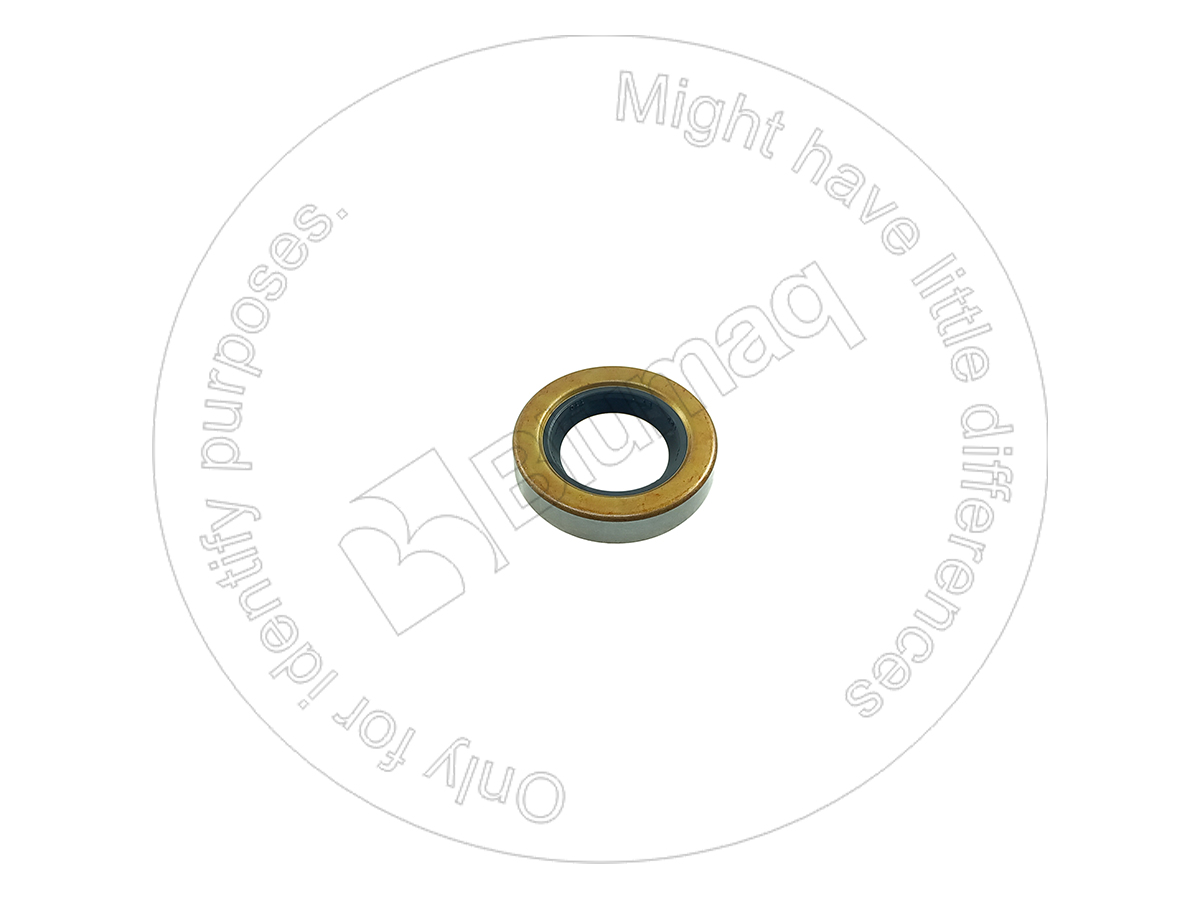 5S0668 ST САЛЬНИК