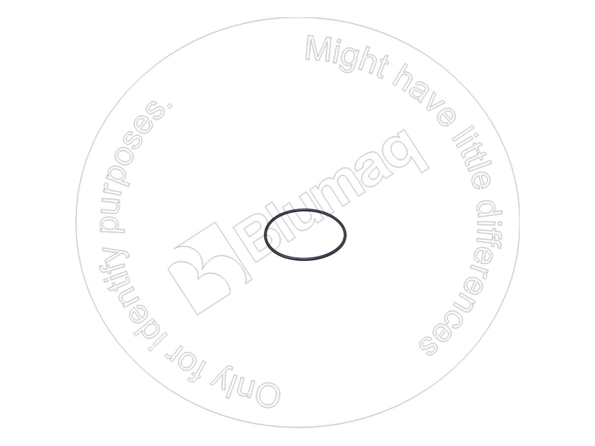 07000F2070 OR КОЛЬЦО КРУГЛОГО СЕЧЕНИЯ