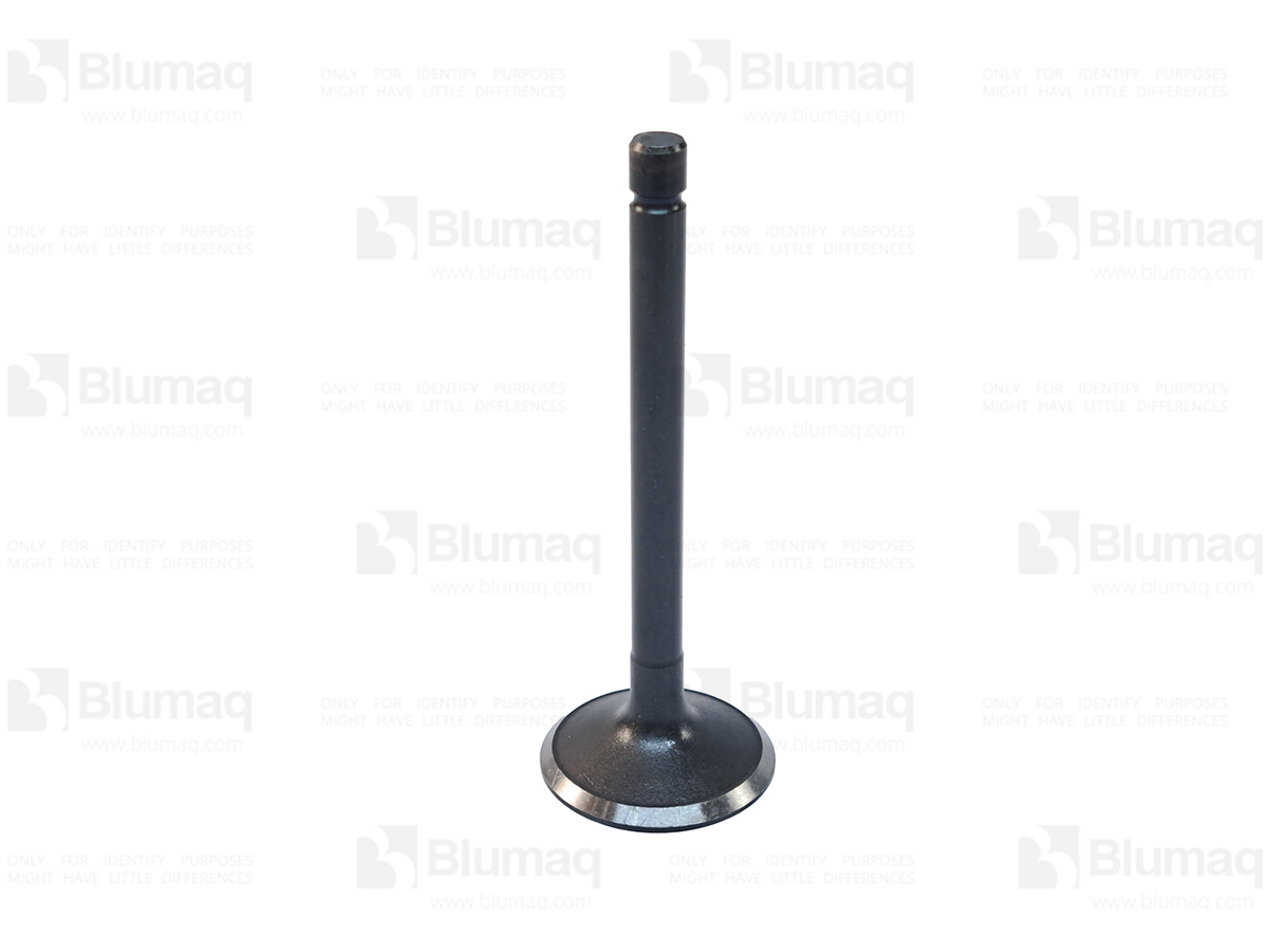 3830534 ST VALVE-INLE