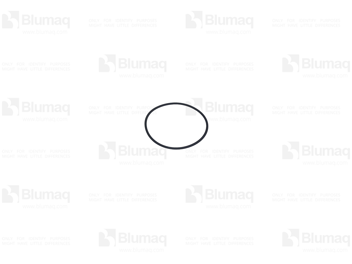 1313718 ST КОЛЬЦО КРУГЛОГО СЕЧЕНИЯ