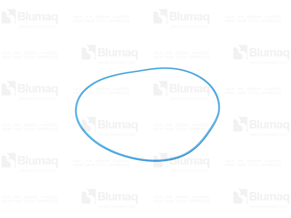 1155658 BQ САЛЬНИК