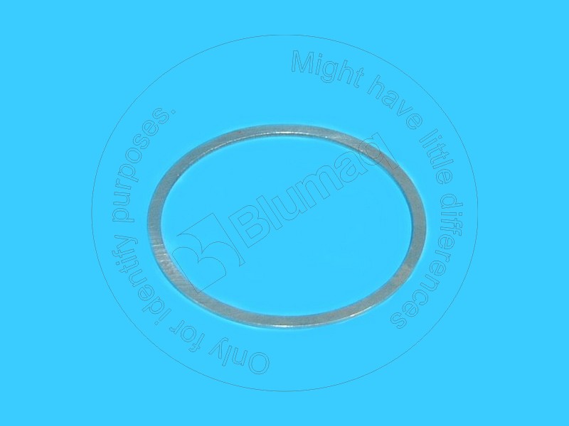 2075962 OE ШАЙБА