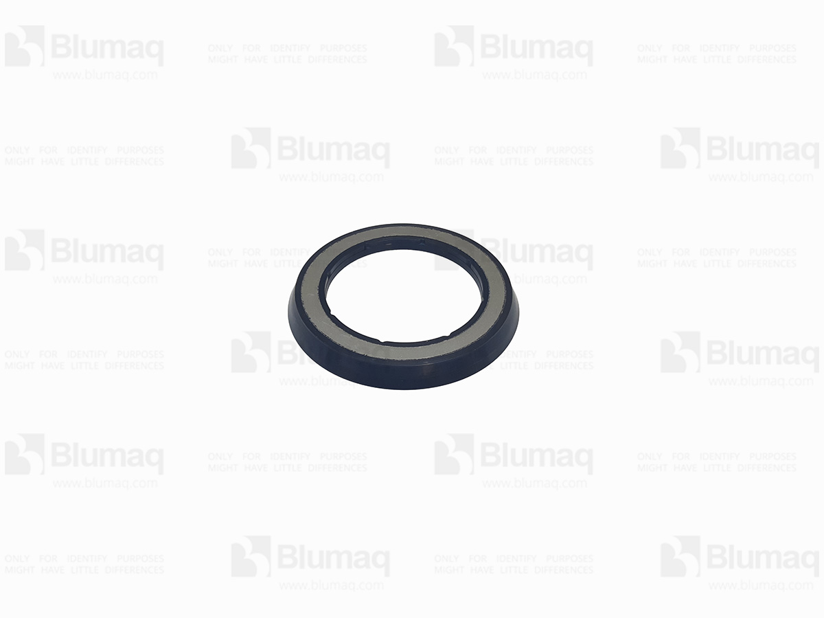 3809735 BQ SEAL V RIN