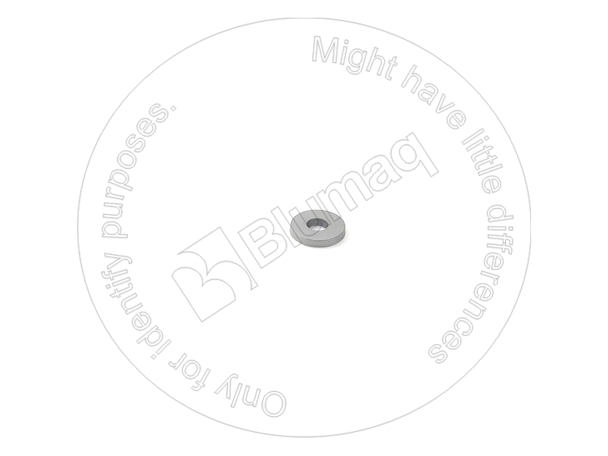 CR3161 OR ШАЙБА