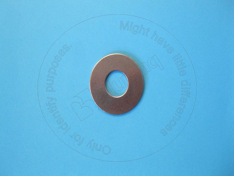 9R2442 BQ ШАЙБА