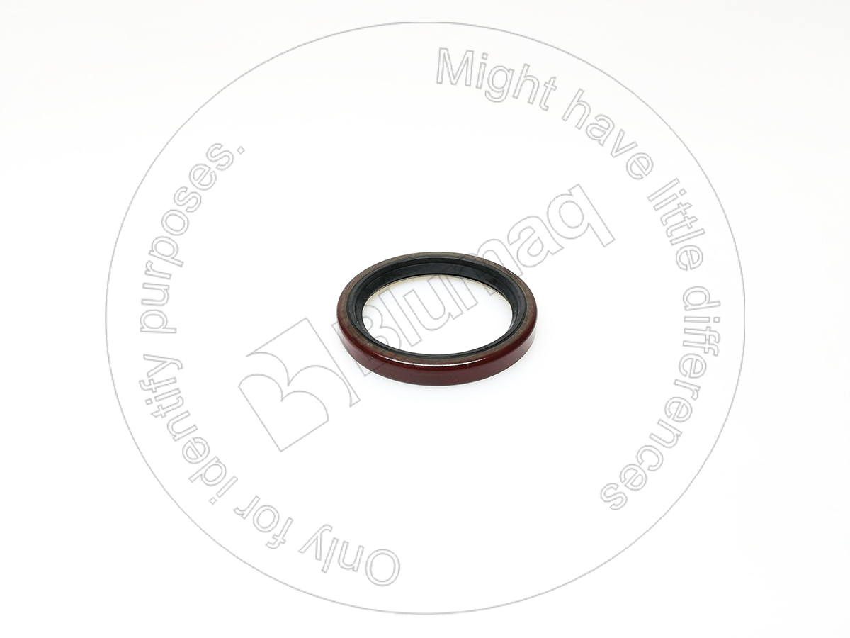 2778995 ST САЛЬНИК