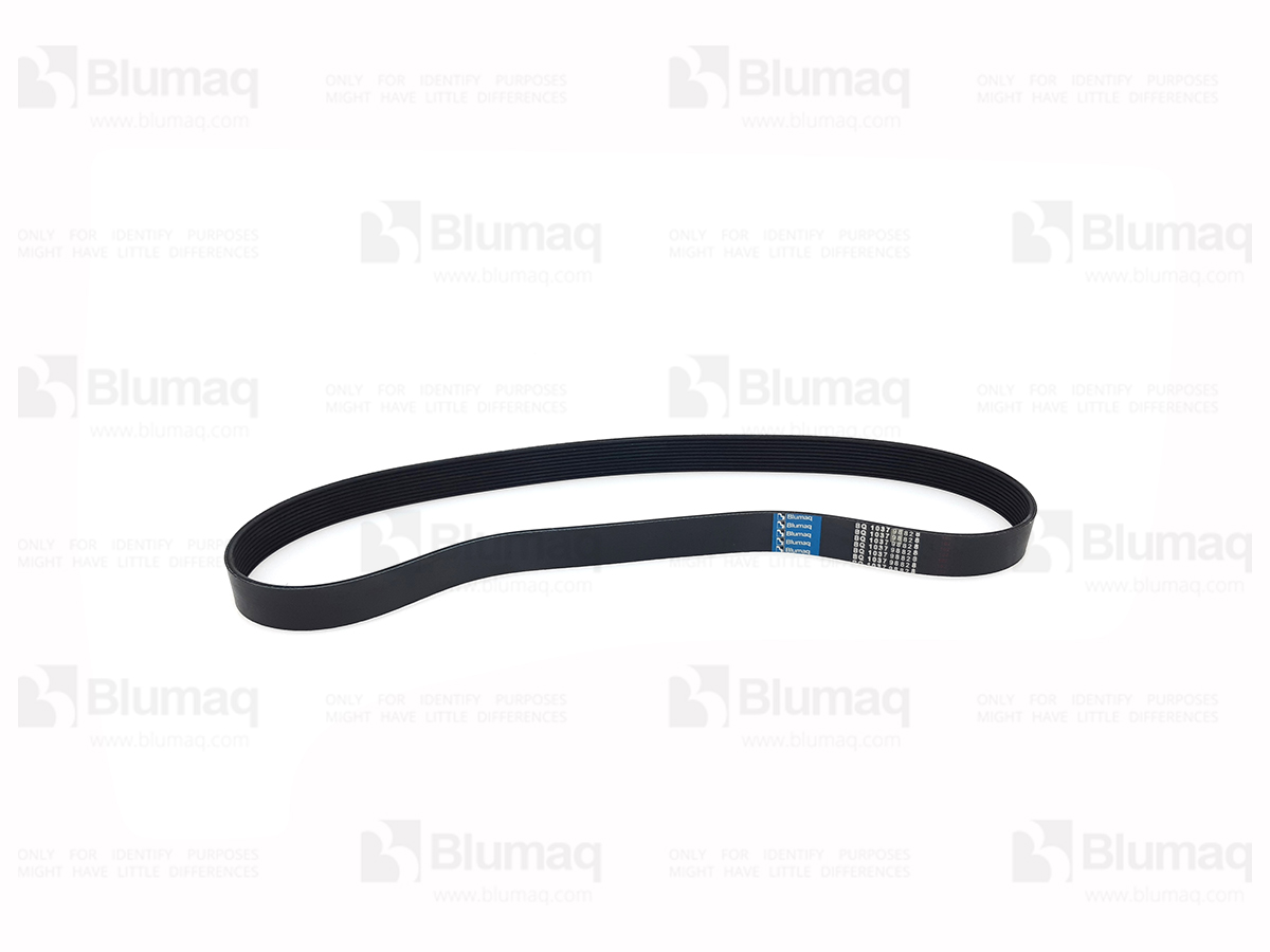 VOE17226030 BQ V-RIBBED BELT