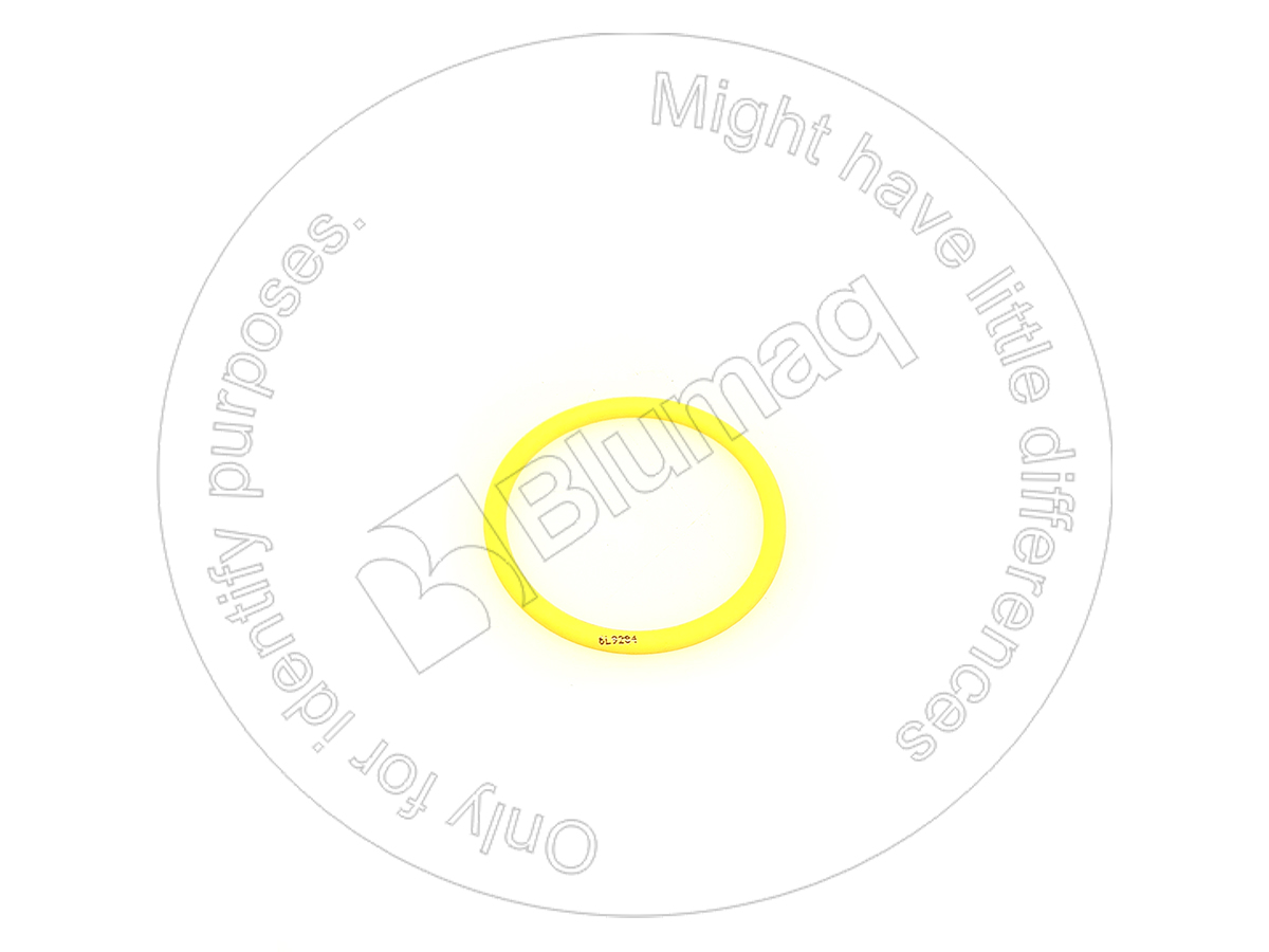 6L9284 ST КОЛЬЦО КРУГЛОГО СЕЧЕНИЯ