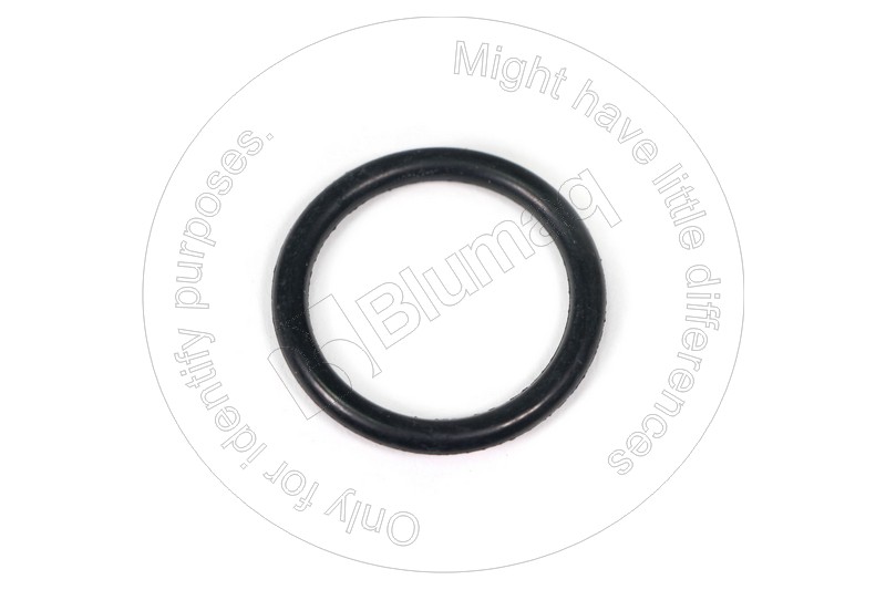 0951528 ST КОЛЬЦО КРУГЛОГО СЕЧЕНИЯ