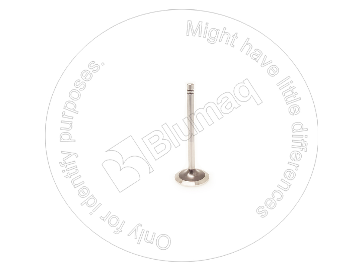 4981690 BQ КЛАПАН ВПУСКНОЙ