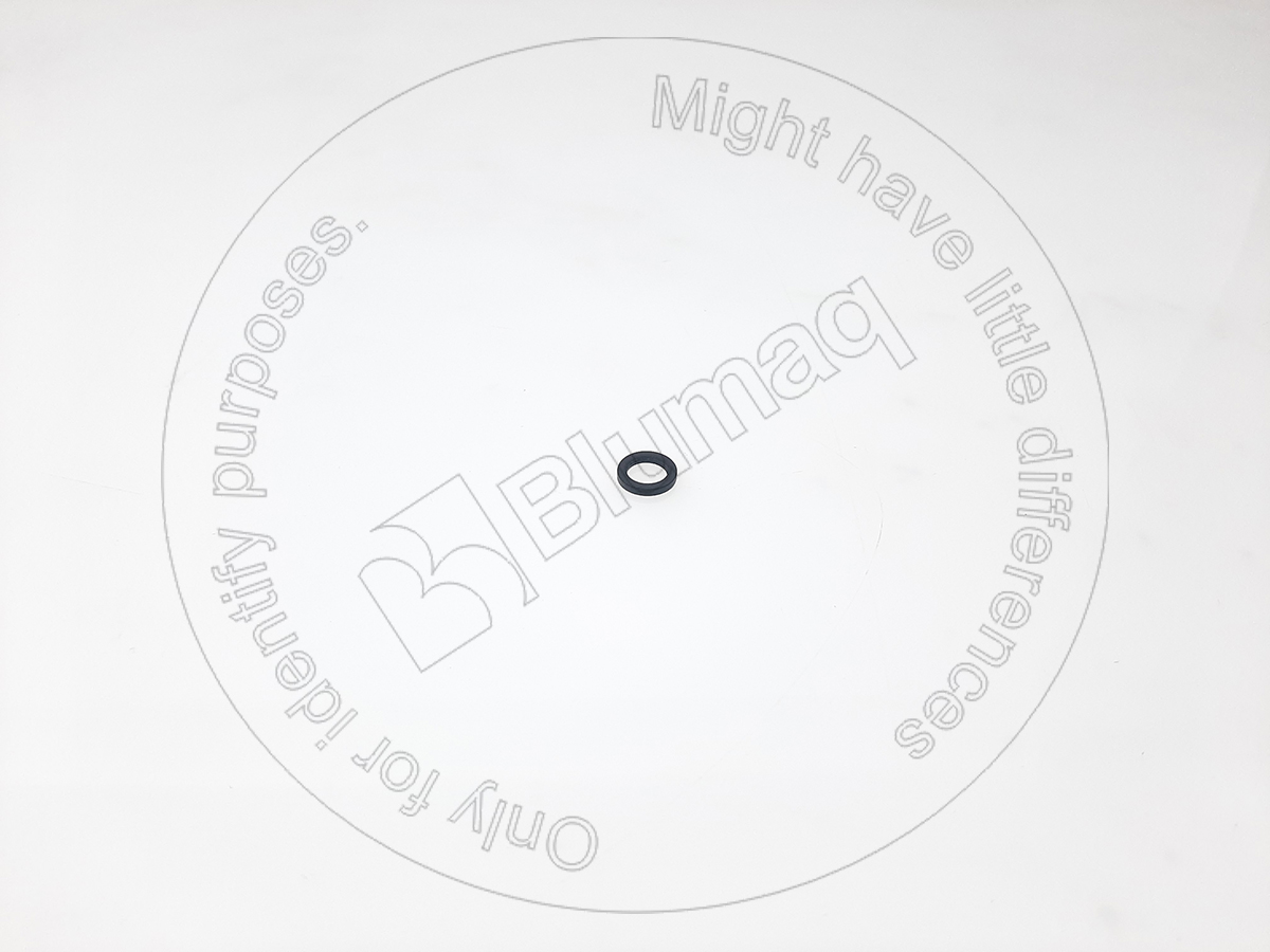 2987403 BQ САЛЬНИК