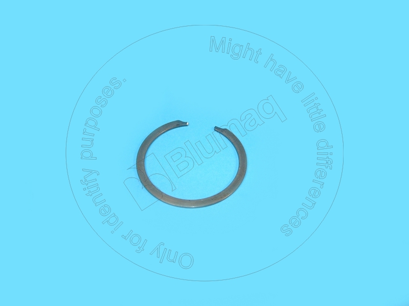 0L2351 OR КОЛЬЦО