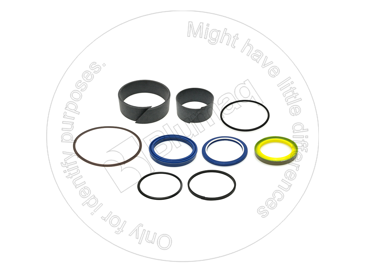 4389145 BQ КОМПЛЕКТ УПЛОТНЕНИЙ