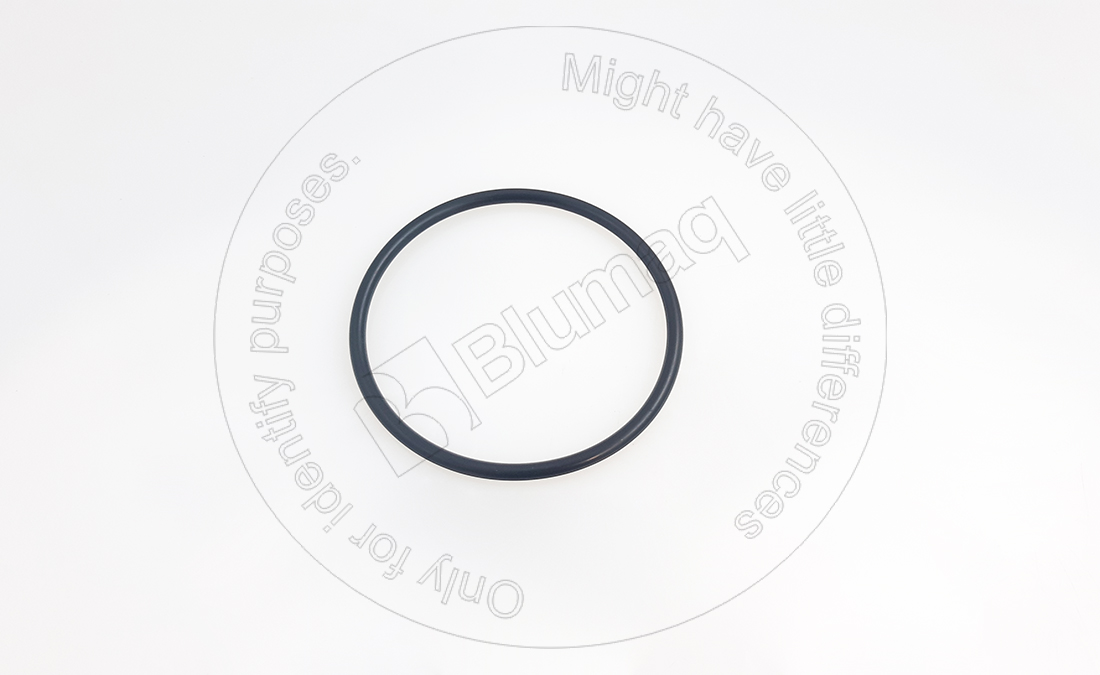 0958859 ST КОЛЬЦО КРУГЛОГО СЕЧЕНИЯ