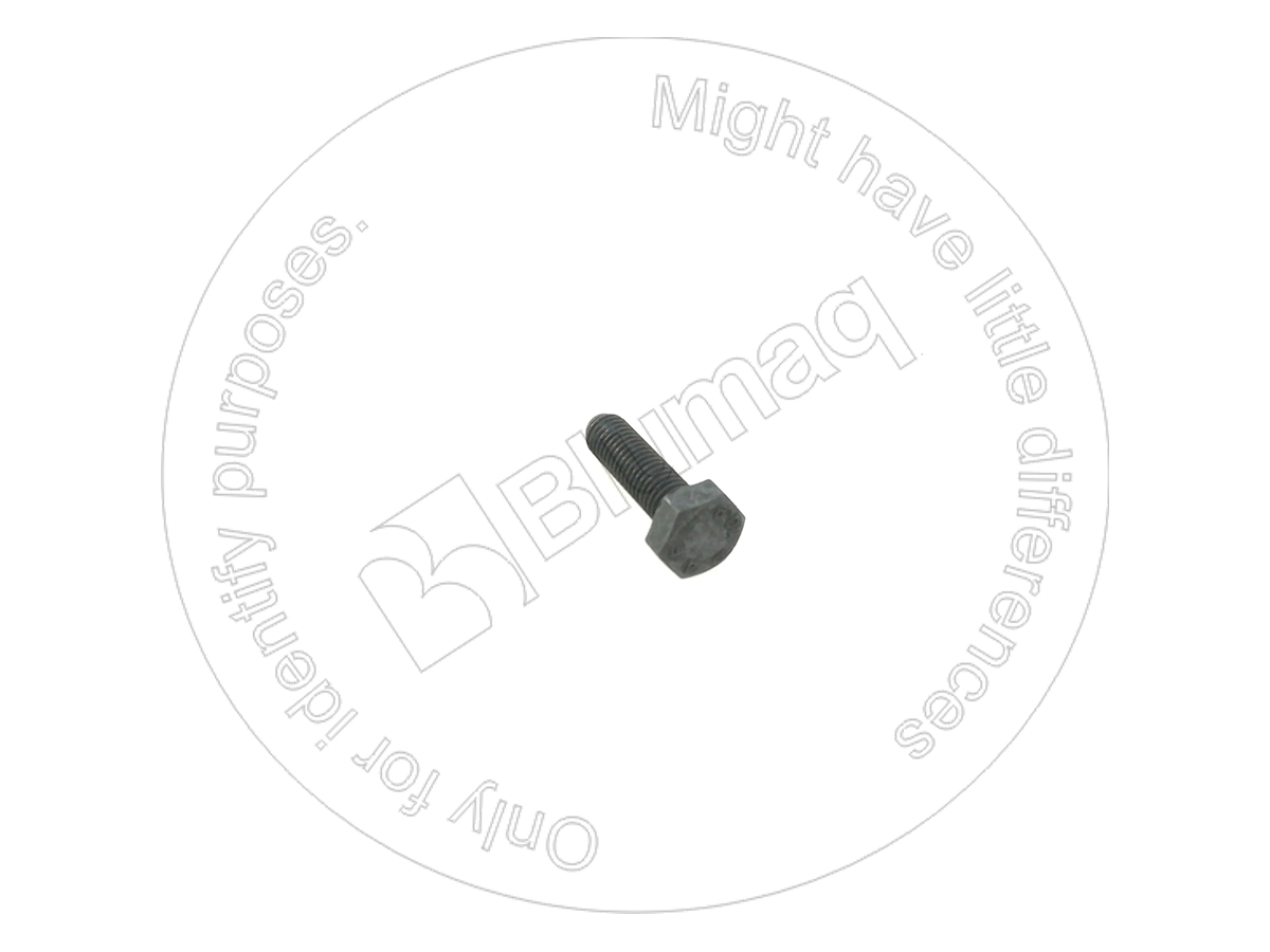 30022R1 OR БОЛТ