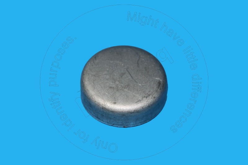 VOE20405605 ST КОЖУХ