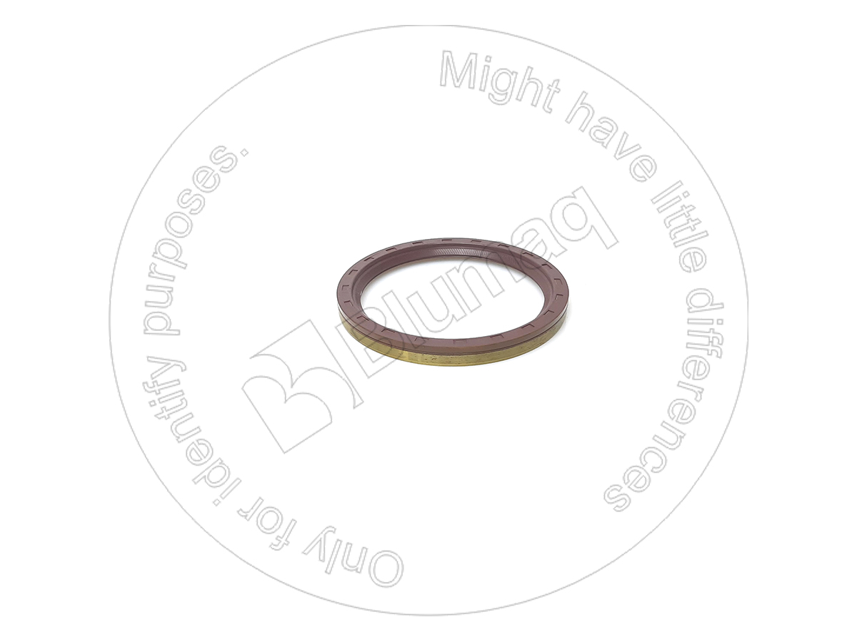 VOE1650290 ST САЛЬНИК