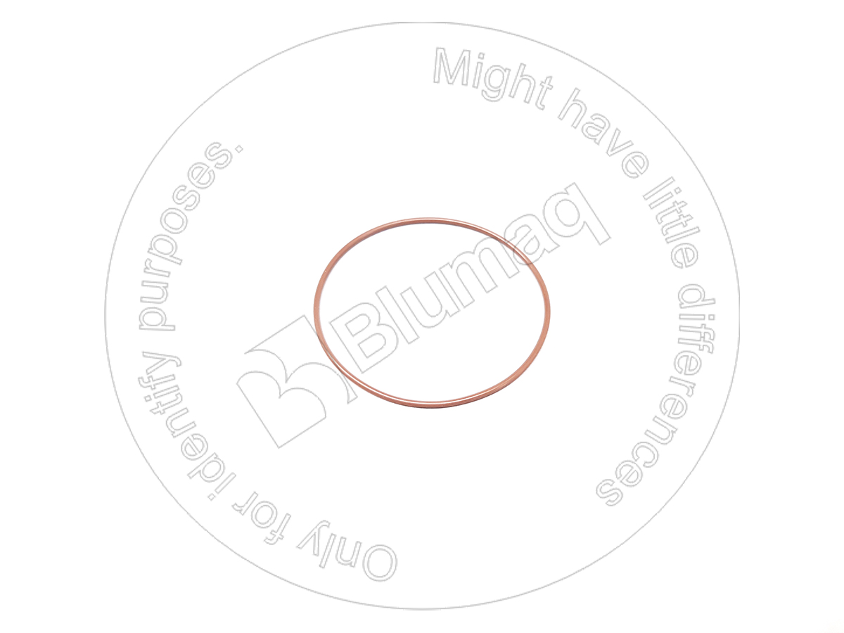 2305686 ST КОЛЬЦО КРУГЛОГО СЕЧЕНИЯ