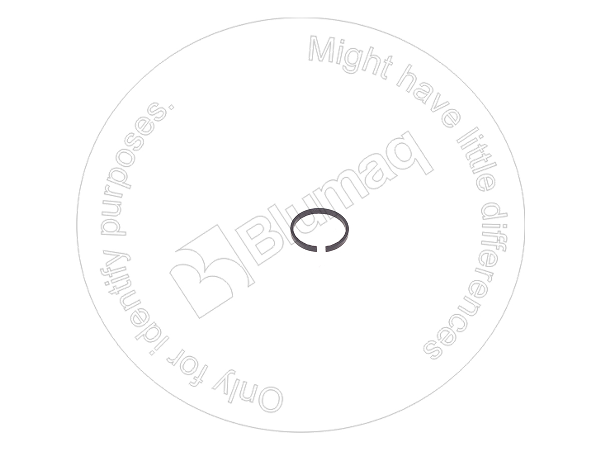 6N1526 ST РЕГУЛИРОВОЧНОЕ КОЛЬЦО