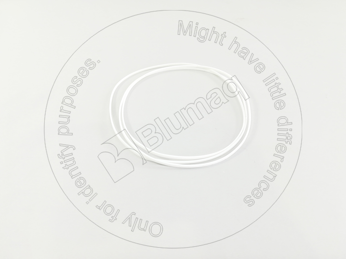 7S6892 OE СЕГМЕНТ