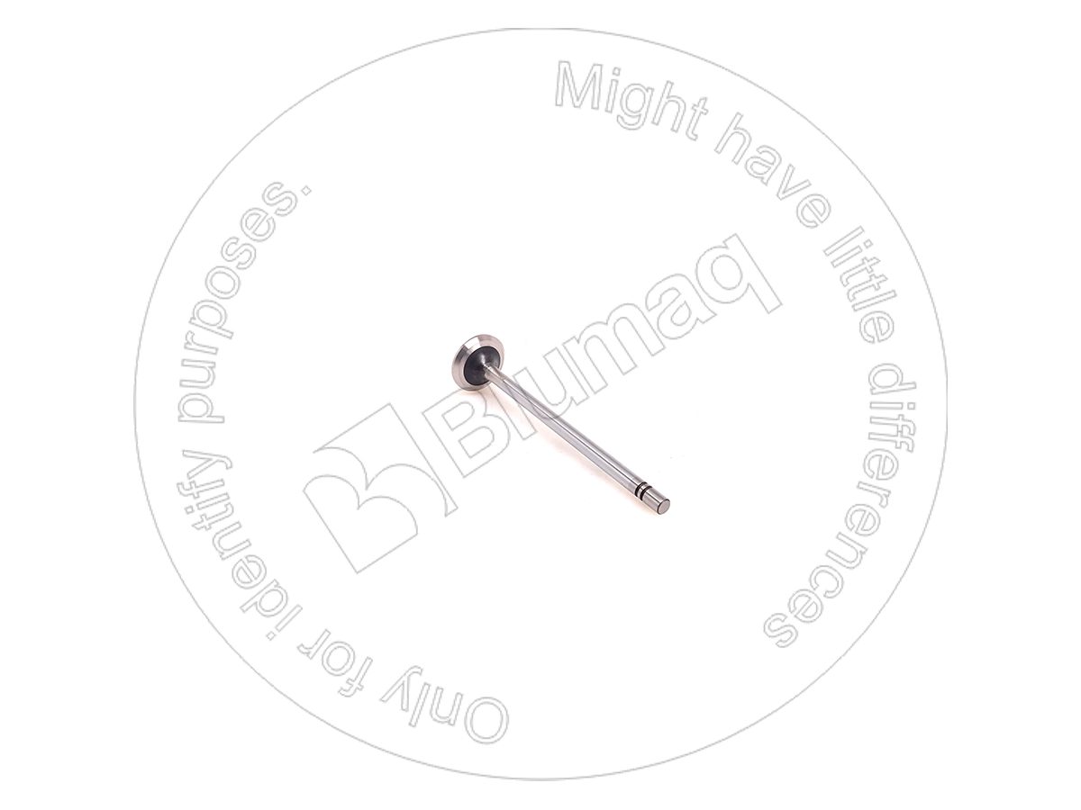 4N5653 BQ ВЫПУСКНОЙ КЛАПАН