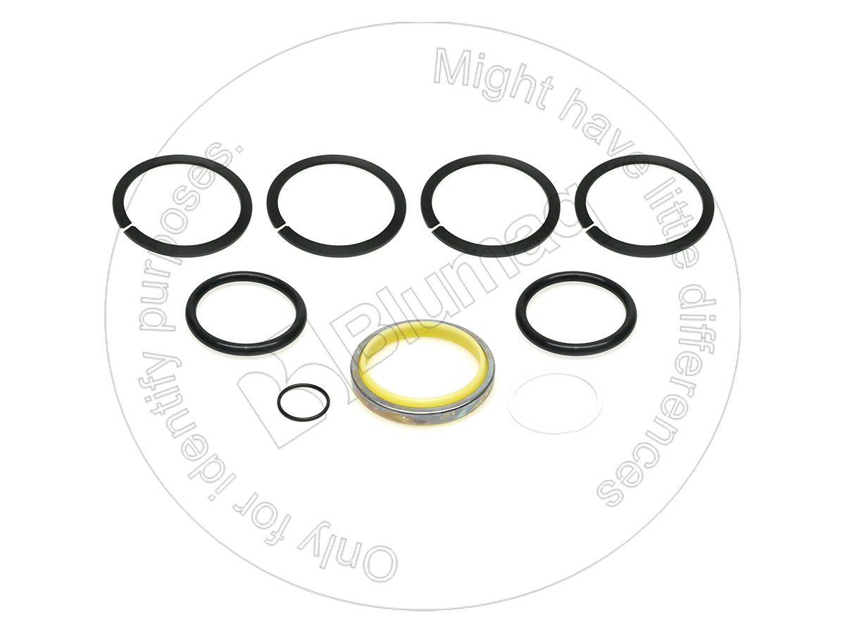 BD901406 BQ КОМПЛЕКТ УПЛОТНЕНИЙ