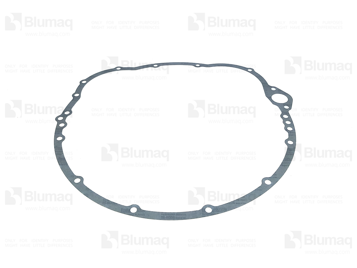 9S8419 BQ БУМАЖНАЯ ПРОКЛАДКА
