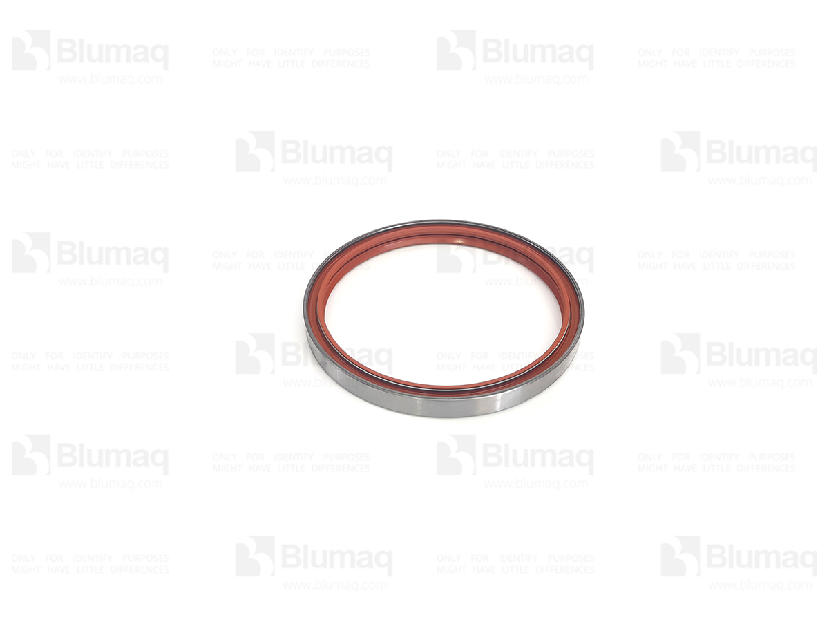 3S9241 ST САЛЬНИК КОЛЕНВАЛА