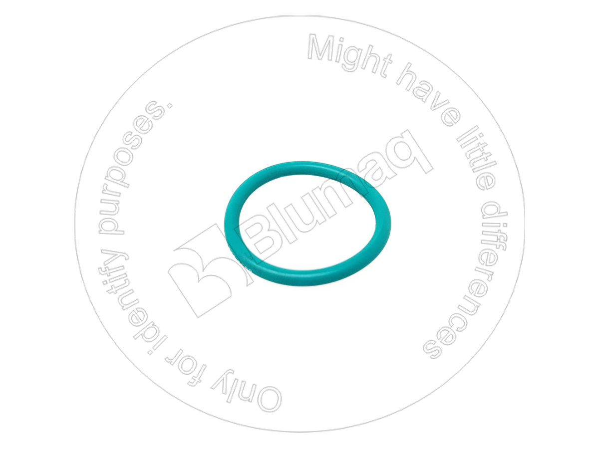 1698598 ST КОЛЬЦО КРУГЛОГО СЕЧЕНИЯ