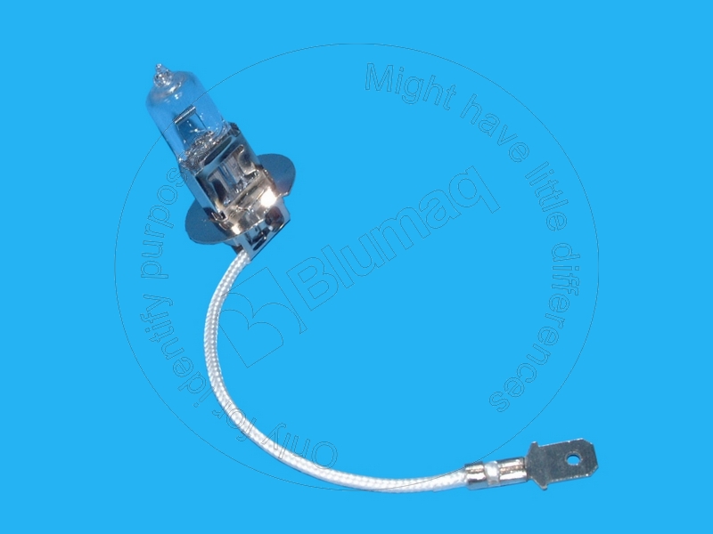 1244082 OE ЛАМПА