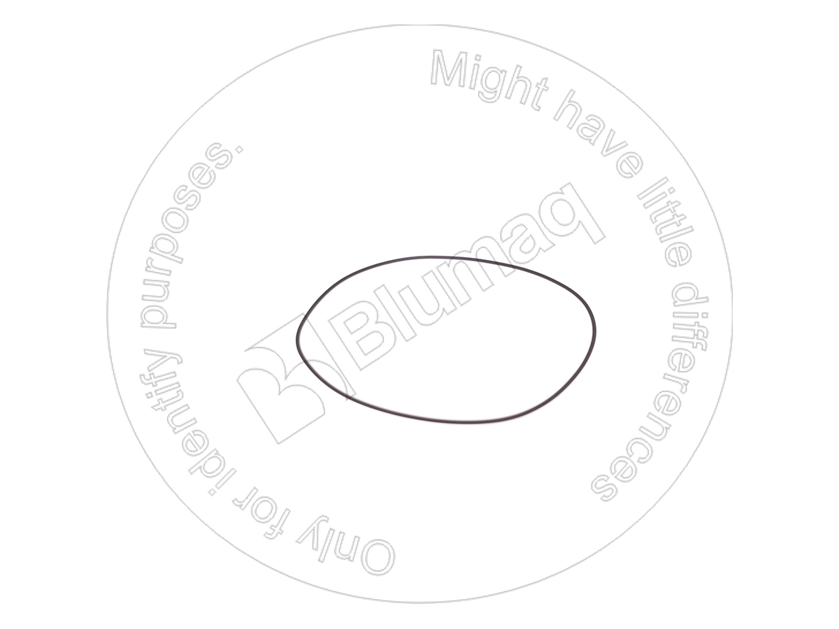 DG001051487 ST КОЛЬЦО КРУГЛОГО СЕЧЕНИЯ