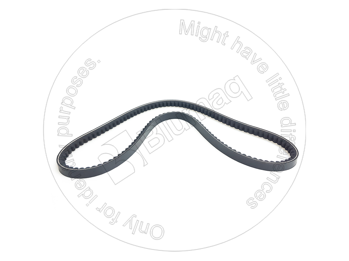 2020131 BQ РЕМЕНЬ